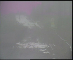 Nástup na běžecké tratě