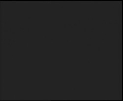 Nástup na běžecké tratě