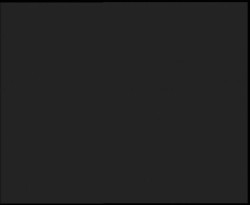 Nástup na běžecké tratě