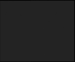 Nástup na běžecké tratě