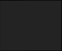 Nástup na běžecké tratě