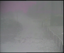 Nástup na běžecké tratě