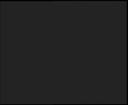 Nástup na běžecké tratě