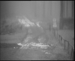 Nástup na běžecké tratě