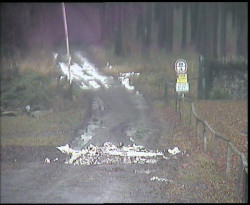 Nástup na běžecké tratě