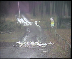 Nástup na běžecké tratě