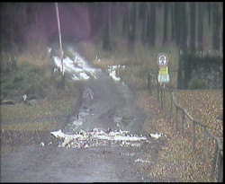 Nástup na běžecké tratě