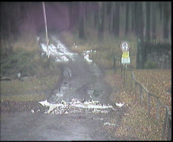 Nástup na běžecké tratě