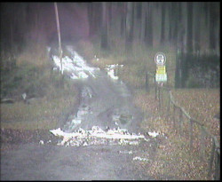 Nástup na běžecké tratě