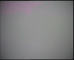 Nástup na běžecké tratě