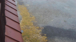 Nástup na běžecké tratě