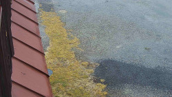 Nástup na běžecké tratě