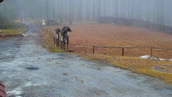 Nástup na běžecké tratě