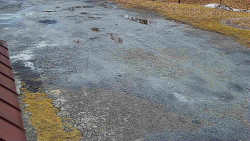 Nástup na běžecké tratě