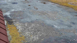 Nástup na běžecké tratě