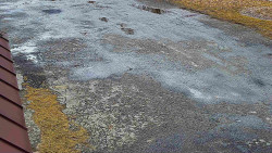 Nástup na běžecké tratě