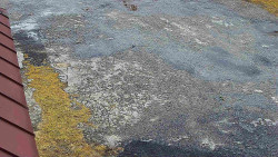 Nástup na běžecké tratě