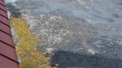 Nástup na běžecké tratě