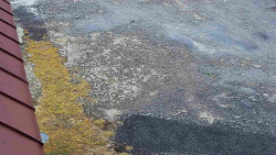 Nástup na běžecké tratě