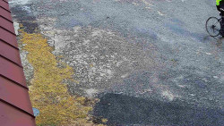 Nástup na běžecké tratě