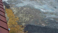 Nástup na běžecké tratě