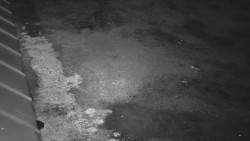 Nástup na běžecké tratě