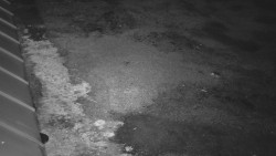 Nástup na běžecké tratě