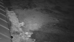 Nástup na běžecké tratě