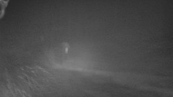 Nástup na běžecké tratě