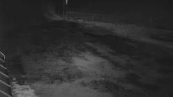 Nástup na běžecké tratě