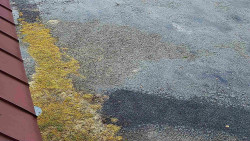 Nástup na běžecké tratě