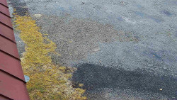 Nástup na běžecké tratě