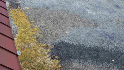 Nástup na běžecké tratě