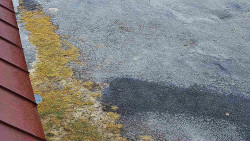 Nástup na běžecké tratě