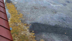 Nástup na běžecké tratě