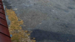 Nástup na běžecké tratě