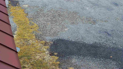 Nástup na běžecké tratě