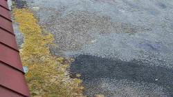 Nástup na běžecké tratě