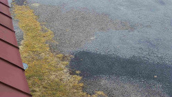 Nástup na běžecké tratě