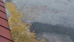 Nástup na běžecké tratě