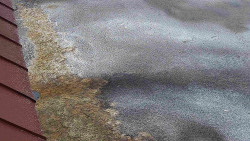 Nástup na běžecké tratě