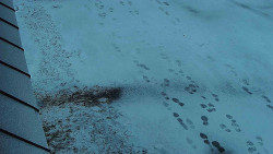 Nástup na běžecké tratě