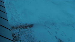 Nástup na běžecké tratě