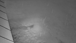 Nástup na běžecké tratě