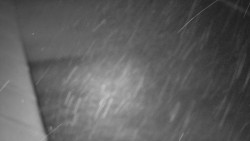 Nástup na běžecké tratě