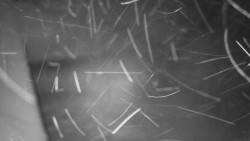 Nástup na běžecké tratě