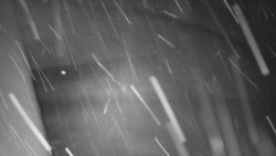 Nástup na běžecké tratě