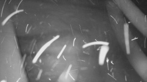 SkiAreál - Horský hotel Vsacký Cáb - Nástup na běžecké tratě - 15.2.2026 v 01:01 SkiAreál - Horský hotel Vsacký Cáb - Nástup na běžecké tratě - 15.2.2026 v 01:01