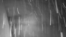 Nástup na běžecké tratě