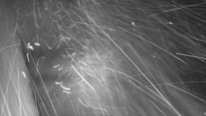 SkiAreál - Horský hotel Vsacký Cáb - Nástup na běžecké tratě - 15.2.2026 v 01:45 SkiAreál - Horský hotel Vsacký Cáb - Nástup na běžecké tratě - 15.2.2026 v 01:45